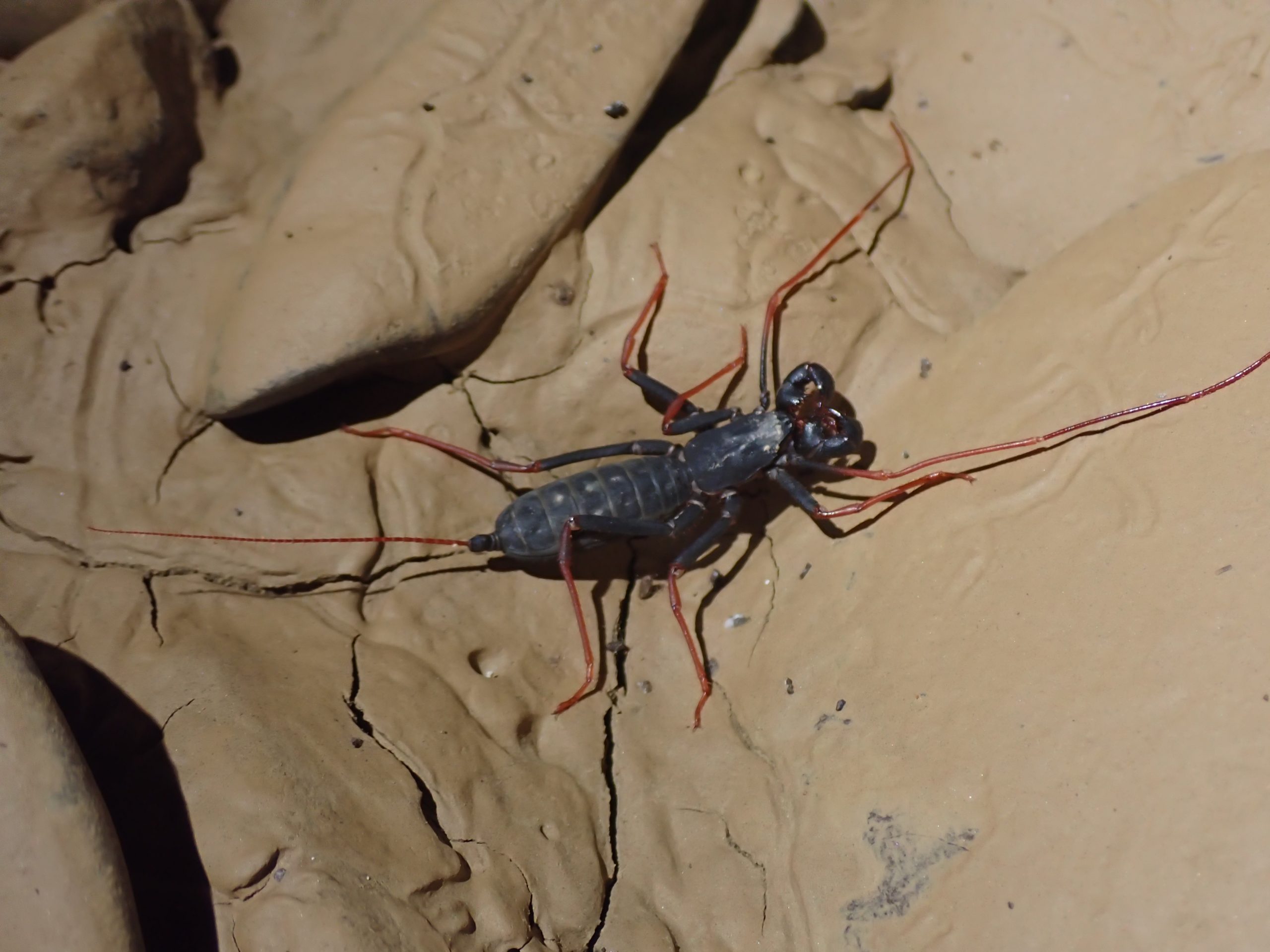 Traversée du verrou 2 ! EEGC Club de Spéléologie