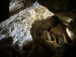 tham phato 14 pha lay